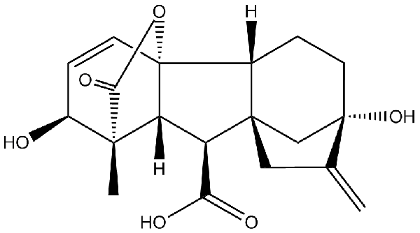 赤霉素GIBBERELLIC ACID，居然有這么神奇？